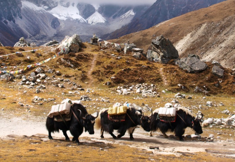 experience offroad reisen reiseziele china tibet highlights 02